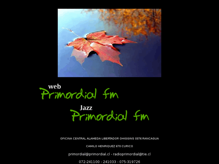 www.primordial.cl