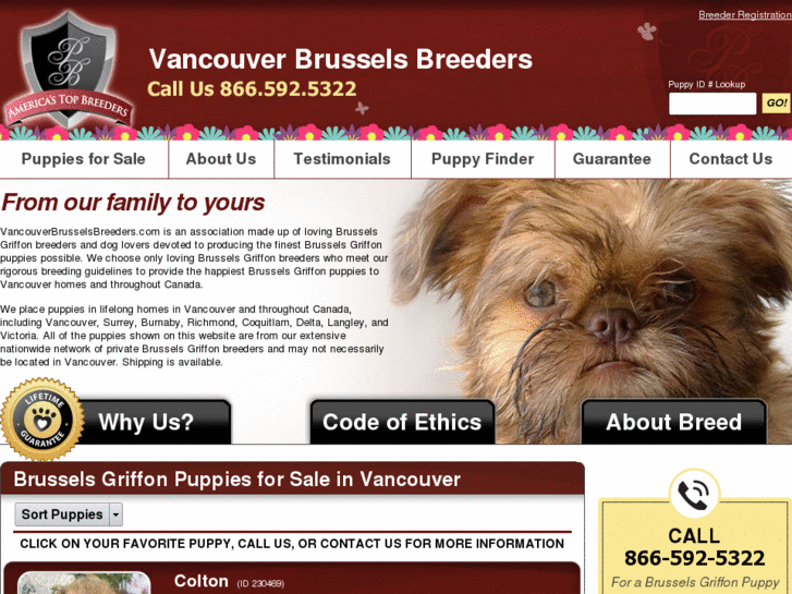 www.vancouverbrusselsbreeders.com