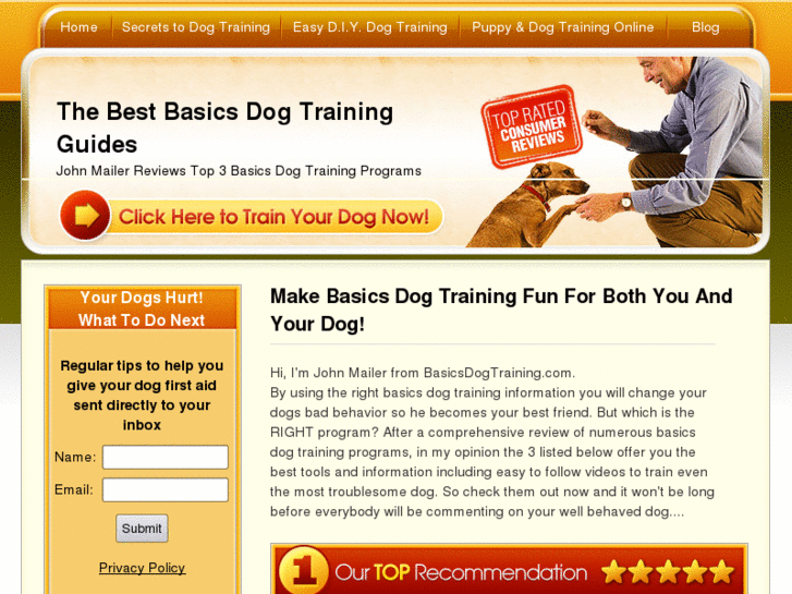 www.basicsdogtraining.info