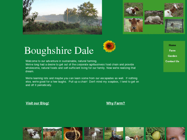 www.boughshiredale.com