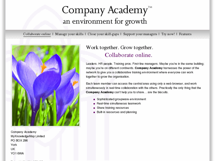 www.companyacademy.com