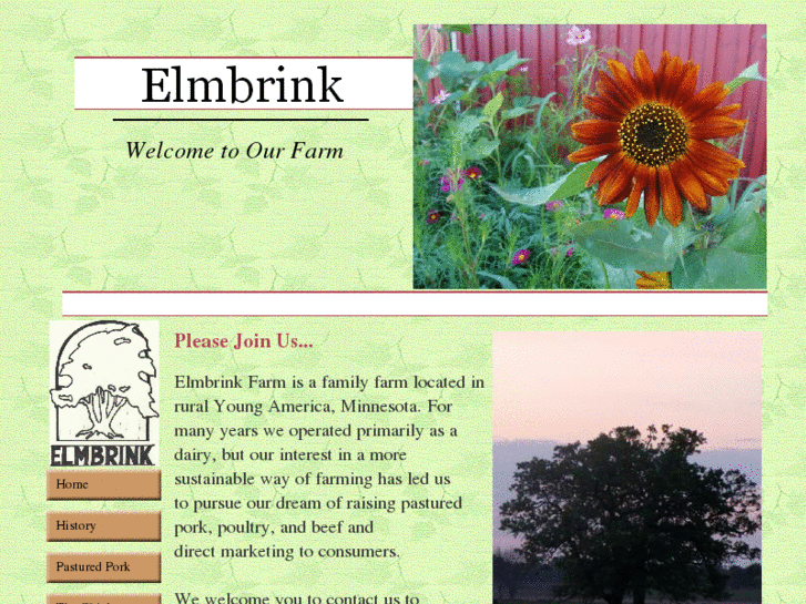 www.elmbrink.com