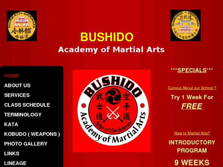 www.thebushidoacademy.com