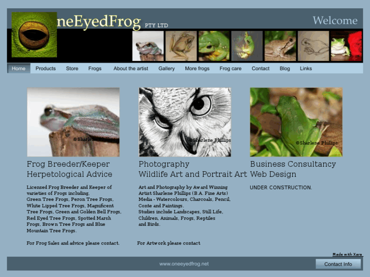 www.oneeyedfrog.net