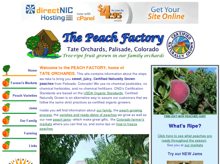 www.peachfactory.com