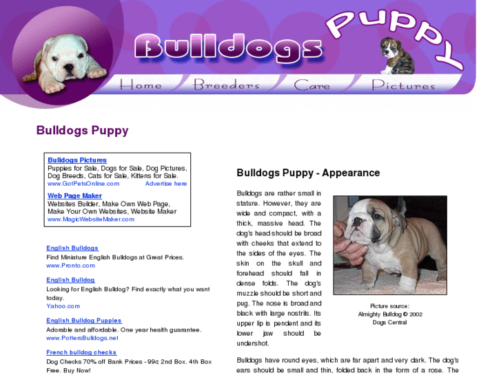 www.bulldog-puppy.org