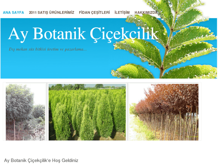 www.aybotanikcicekcilik.com