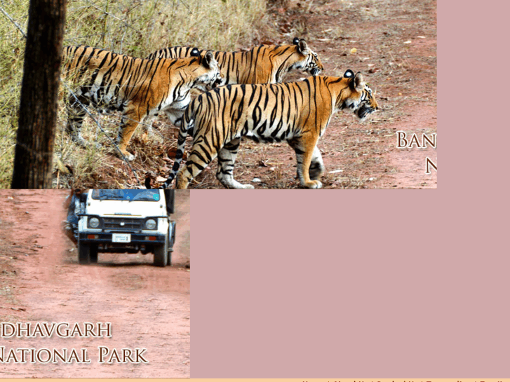 www.bandhavgarh.co.in