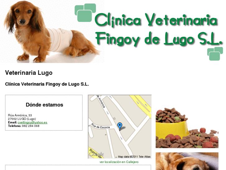 www.clinicaveterinariafingoy.com