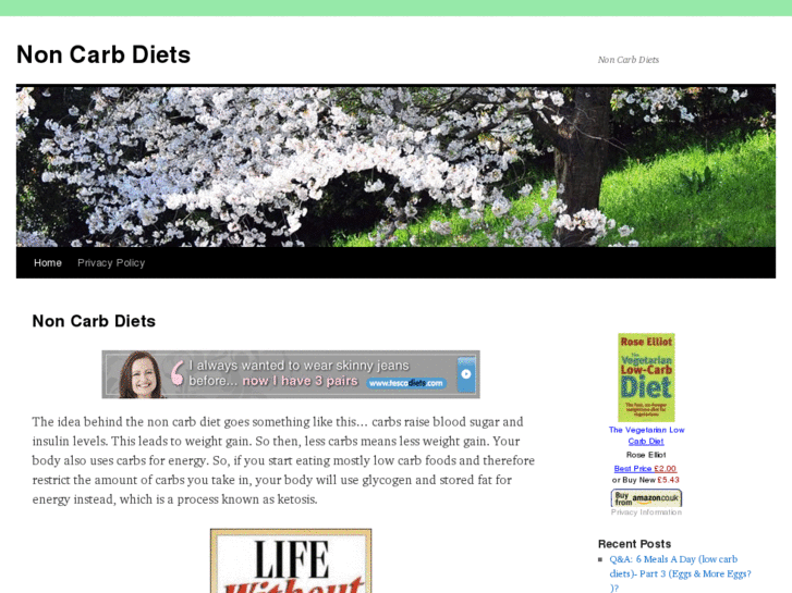 www.noncarbdiets.com