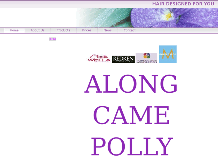 www.alongcamepollyhair.com