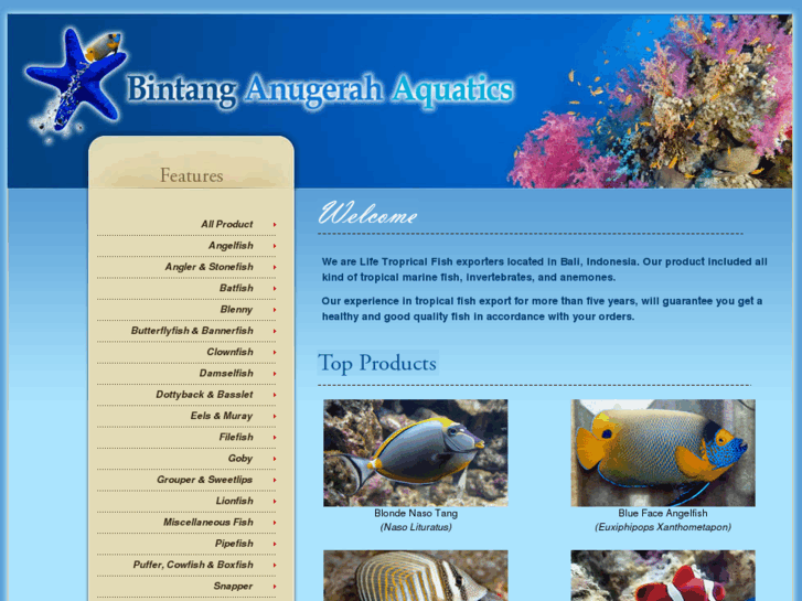 www.bintanganugerahaquatics.com