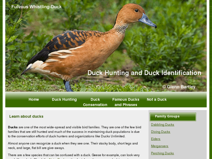 www.duck-names.com