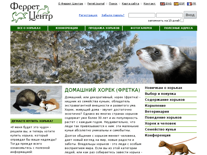 www.ferret.ru