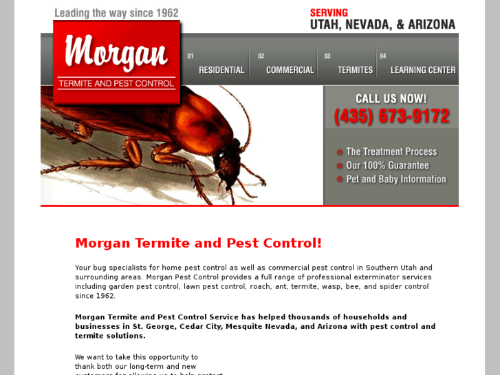 www.morganpestcontrol.com