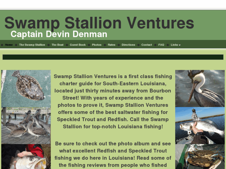 www.swampstallionventures.com