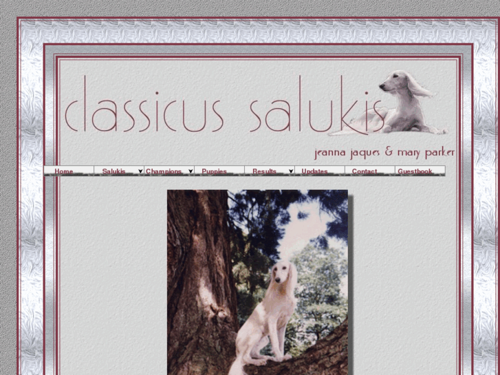 www.classicus-salukis.com