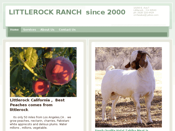 www.littlerockranch.com