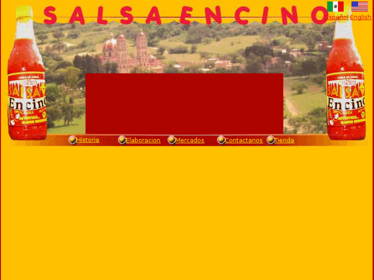 www.salsaencinousa.com