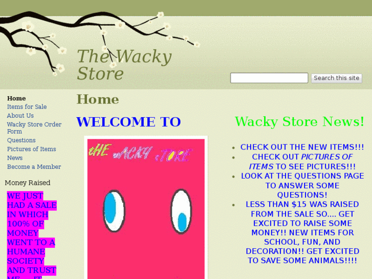 www.thewackystore.com