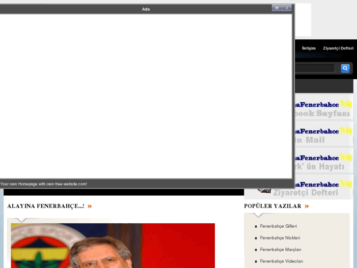 www.alayinafenerbahce.tr.gg