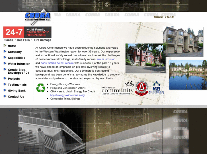 www.cobra-construction.com