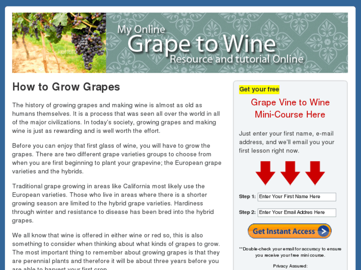 www.grapevinetograpewine.com