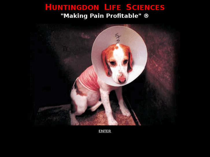 www.huntingdonlifesciences.com