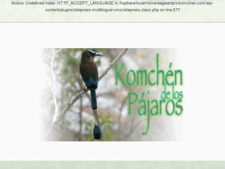 www.komchen.com