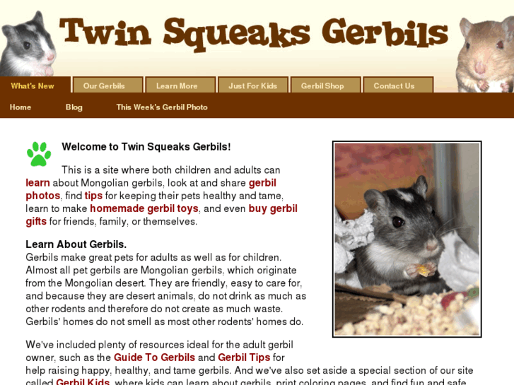 www.twinsqueaks.com