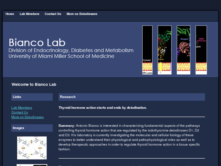 www.biancolab.com