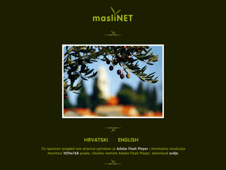 www.maslinet.com