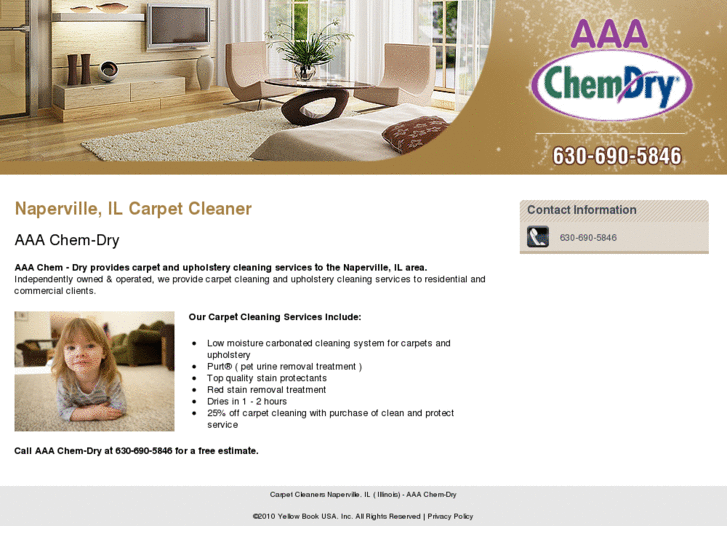 www.napervillecarpetcleanercoupons.com