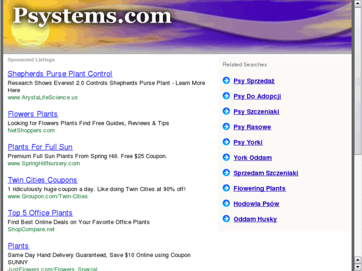 www.psystems.com