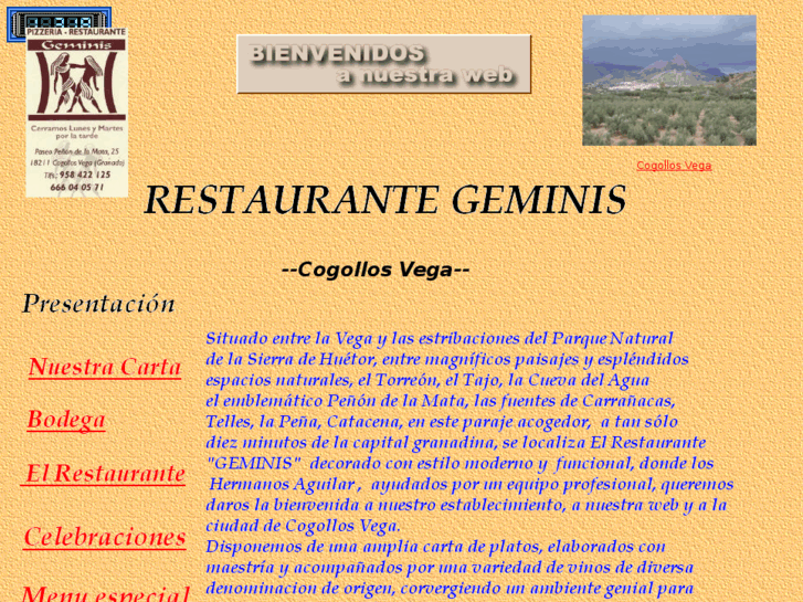 www.restaurantegeminis.es