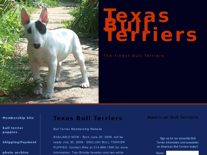 www.texasbullterriers.com