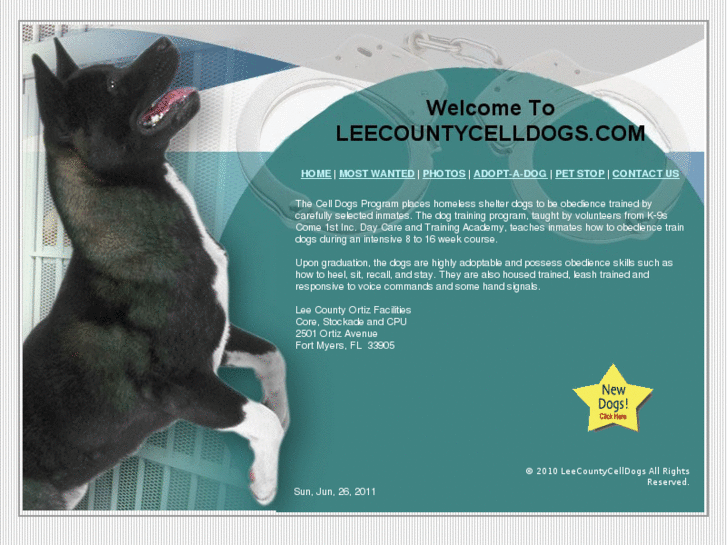 www.leecountycelldogs.com