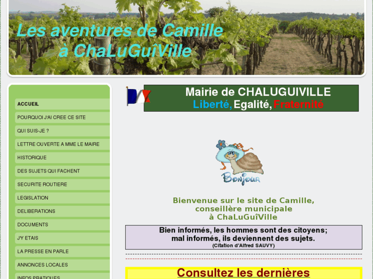 www.lesechosdechaluguiville.com