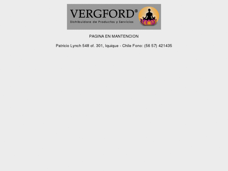 www.vergford.cl