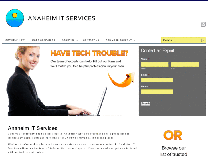 www.anaheimitservices.com