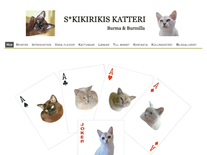 www.kikirikis.com