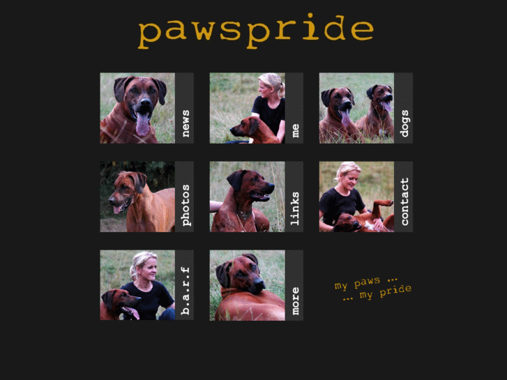 www.pawspride.com