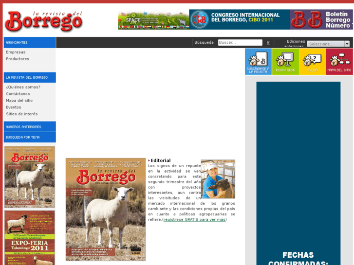 www.borrego.com.mx