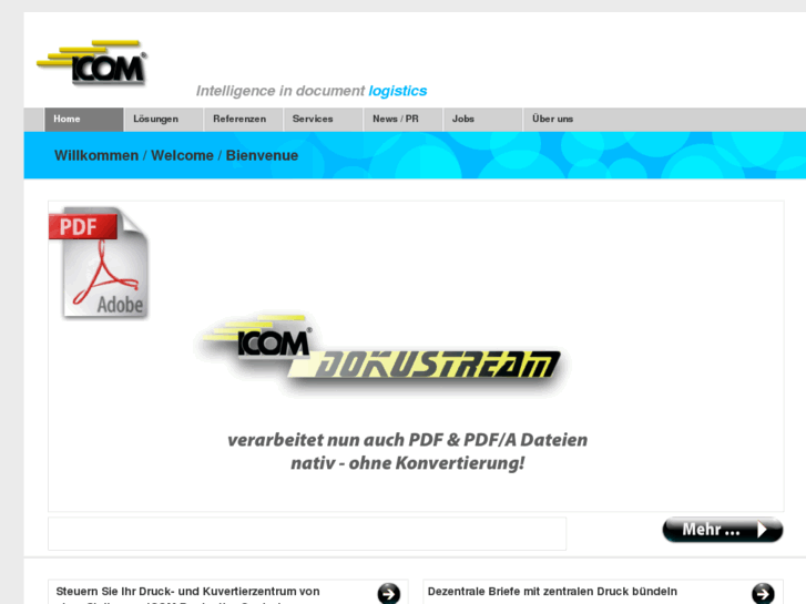 www.icom-software.info