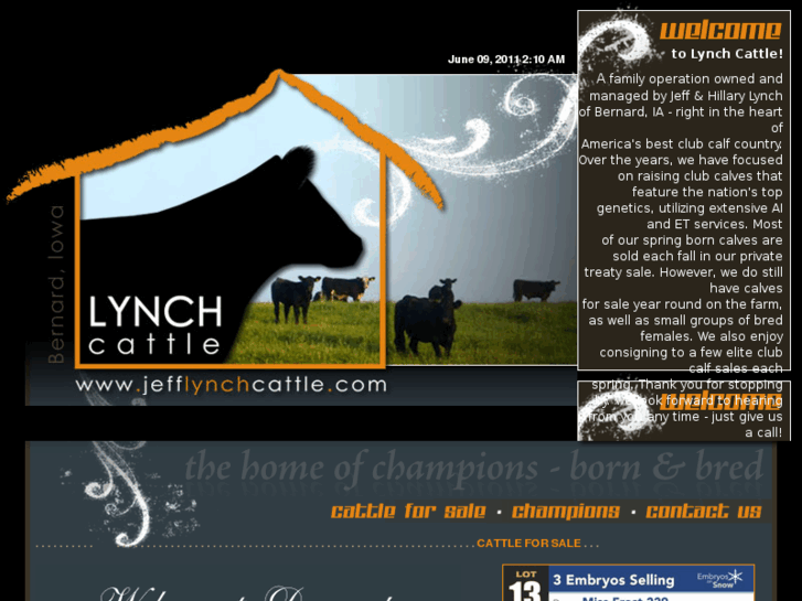 www.jefflynchcattle.com