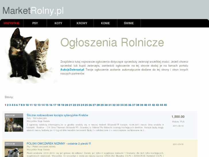 www.marketrolny.pl