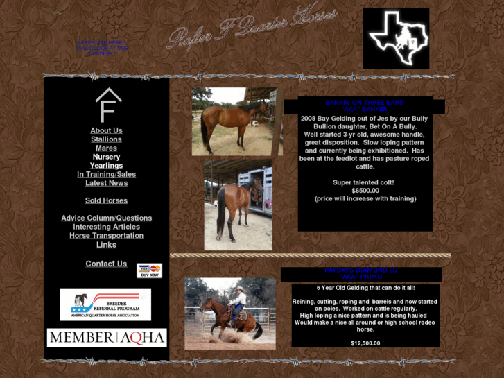 www.rafterfquarterhorses.com