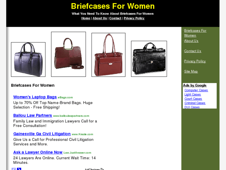 www.briefcasesforwomen.org