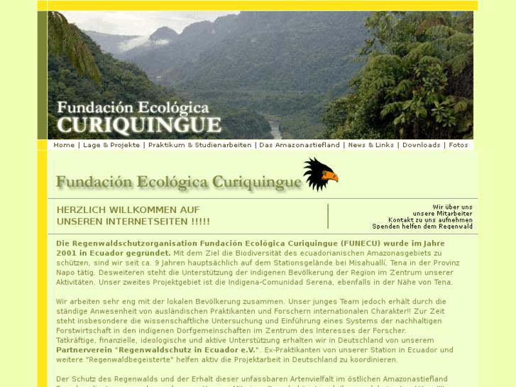 www.curiquingue.org