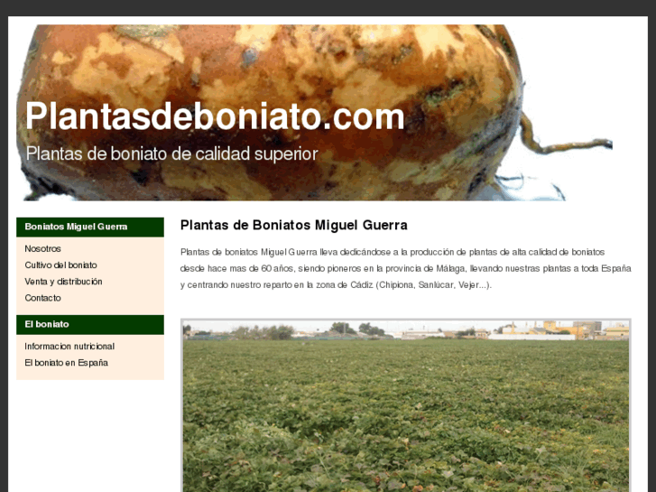 www.plantasdeboniato.com